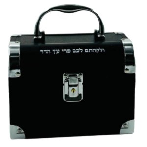 Picture of Aluminum Esrog Box with Handle and Clasp Chest Design Black